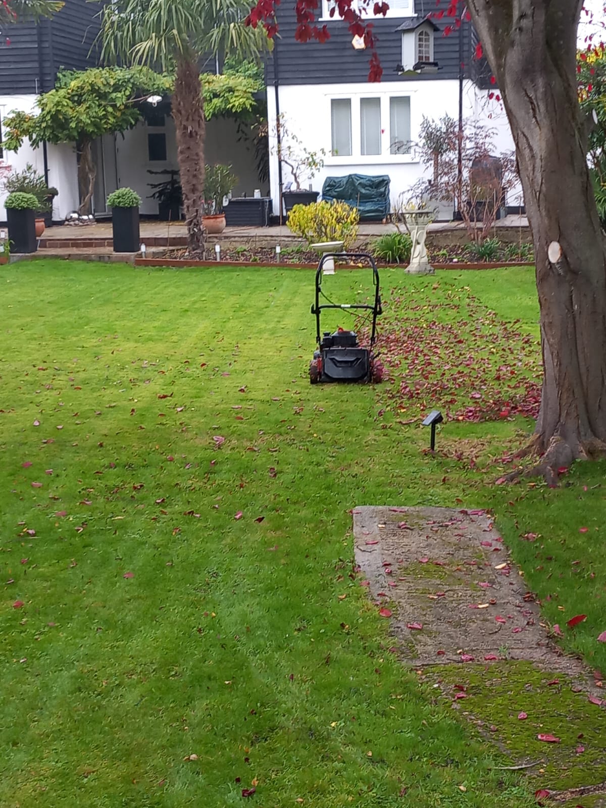 whatsapp image 2025 11 07 at 2.31.04 pm (1)