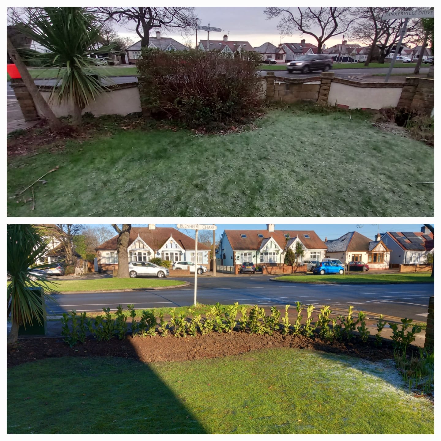 whatsapp image 2025 11 07 at 2.36.04 pm (4)