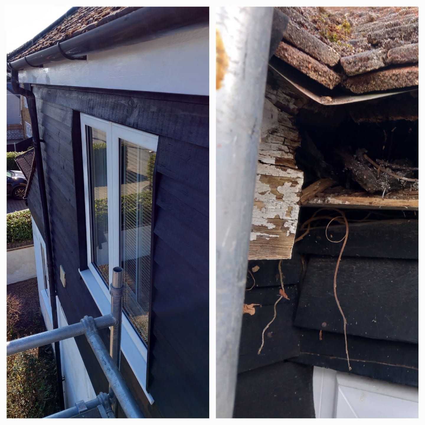 whatsapp image 2025 11 07 at 2.37.49 pm