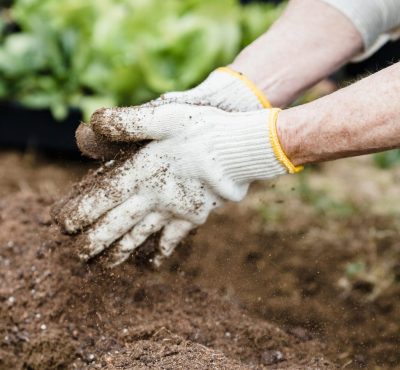 Close-up of a gardener's hands in gloves preparing soil for planting outdoors.